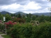 Baden-Baden, Rosenneuheitengarten