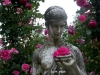 Karte-Rosen-01