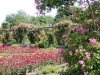 Säulenpergola auf der Rosenhöhe, Darmstadt