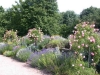 Der Rosengarten, Park Rosenhöhe, Darmstadt