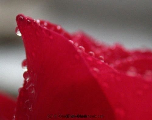 picture-0004.jpg