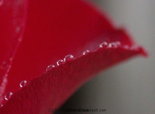 picture-0014.jpg
