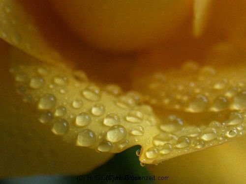 picture-0016.jpg