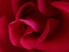 picture-0001.jpg