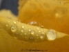 picture-0002.jpg