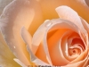 picture-0003.jpg