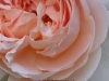 picture-0005.jpg