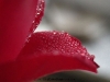 picture-0006.jpg
