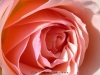 picture-0007.jpg
