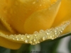 picture-0008.jpg