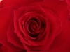 picture-0009.jpg