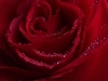 picture-0015.jpg