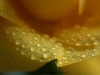 picture-0016.jpg