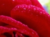 picture-0017.jpg
