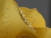 picture-0018.jpg